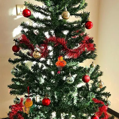 Casa Con Giardino Vicino Al Mare アパート ラッパロ