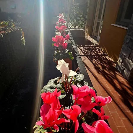 アパート Casa Con Giardino Vicino Al Mare ラッパロ